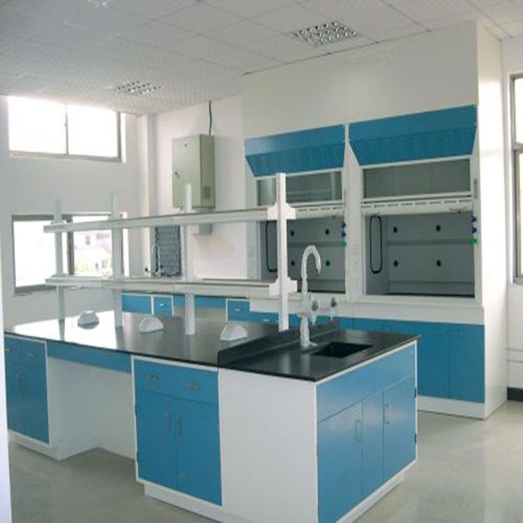 河北保定實驗臺試驗臺通風(fēng)柜氣瓶柜定做生產(chǎn)廠家