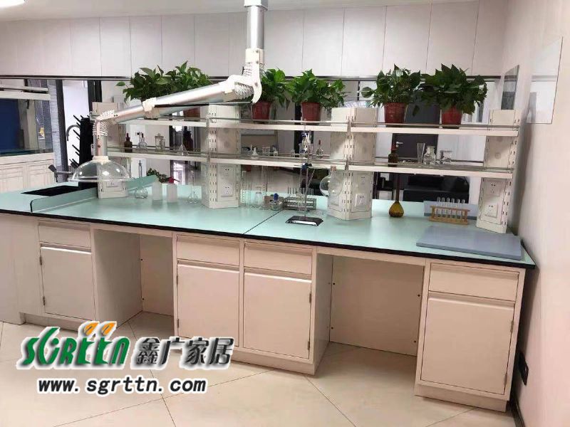 化驗室pp操作臺，實驗臺鋼木化學(xué)試驗桌，工作臺學(xué)校通風(fēng)柜，全鋼試驗臺