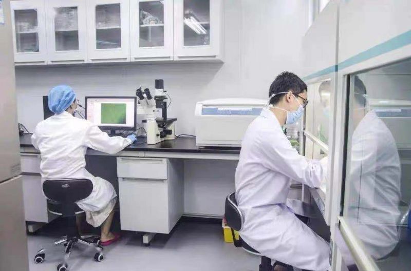 濰坊實驗室超凈臺實驗室凈化工作臺生產(chǎn)廠家/