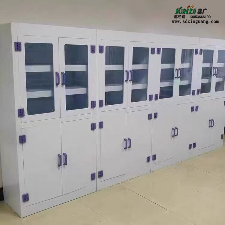 山東實驗室器皿柜試劑強酸堿儲存柜防腐蝕試劑柜