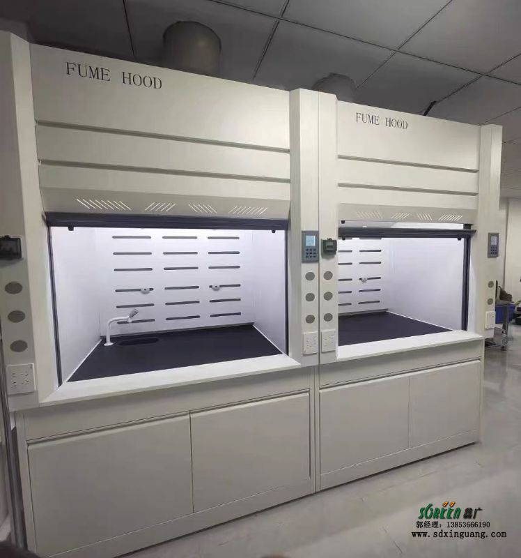 山東實(shí)驗(yàn)室通風(fēng)柜