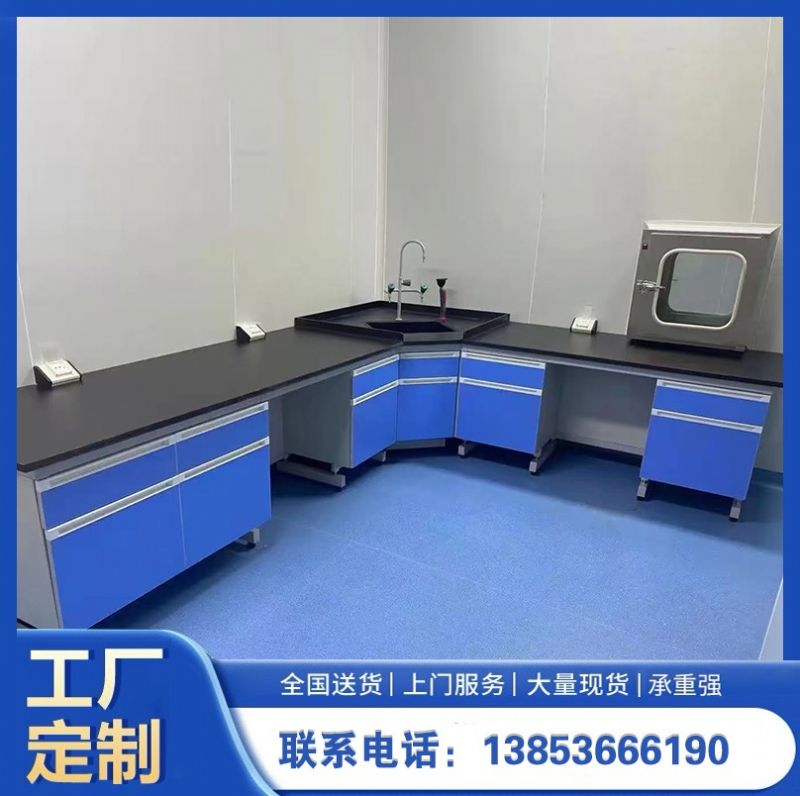 山東實驗室家具 鋼木試驗臺通風櫥柜定制